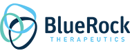 BlueRock Logo_188x77