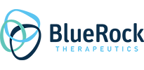 BlueRock Logo_205x100