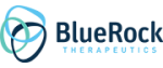 BlueRock Logo_180x77